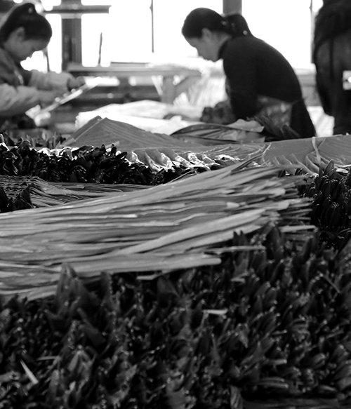 Artificial palm leaf sorting