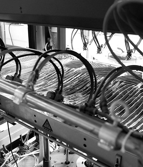 Palm leaf production process